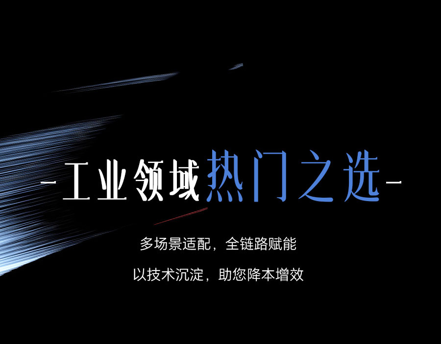 1767151251823400.jpg 000101(1)_06.jpg