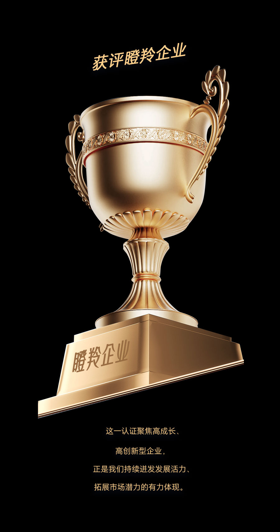 1767151389802603.jpg 瞪羚企业.jpg