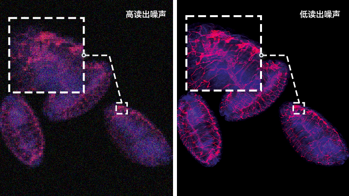 1773132675245027.jpg 11.jpg