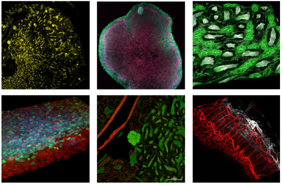 1773194292664597.png 企业微信截图_17727920194042.png