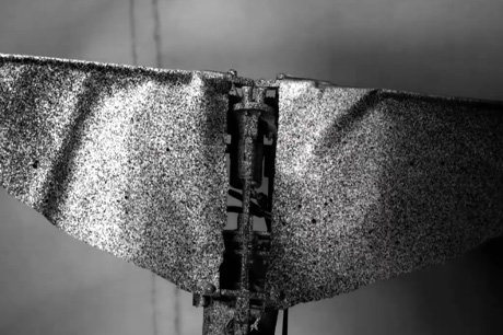 观测仿生飞蛾翅膀扇动时各部位的应力变化